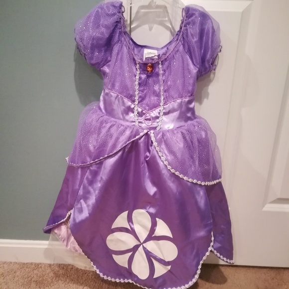 Disney Other - Disney Store Sofia The First costume size 4